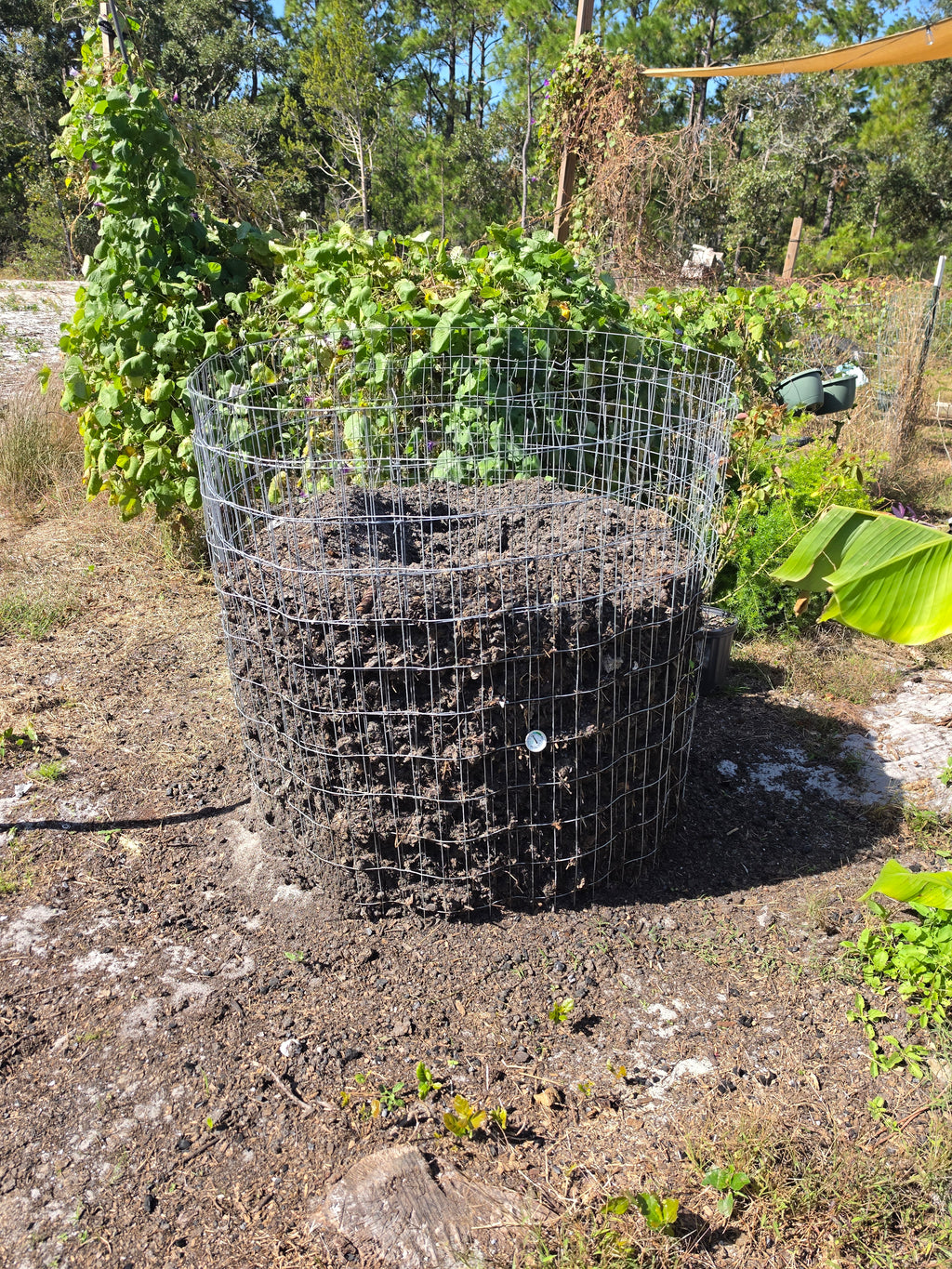 Finished compost