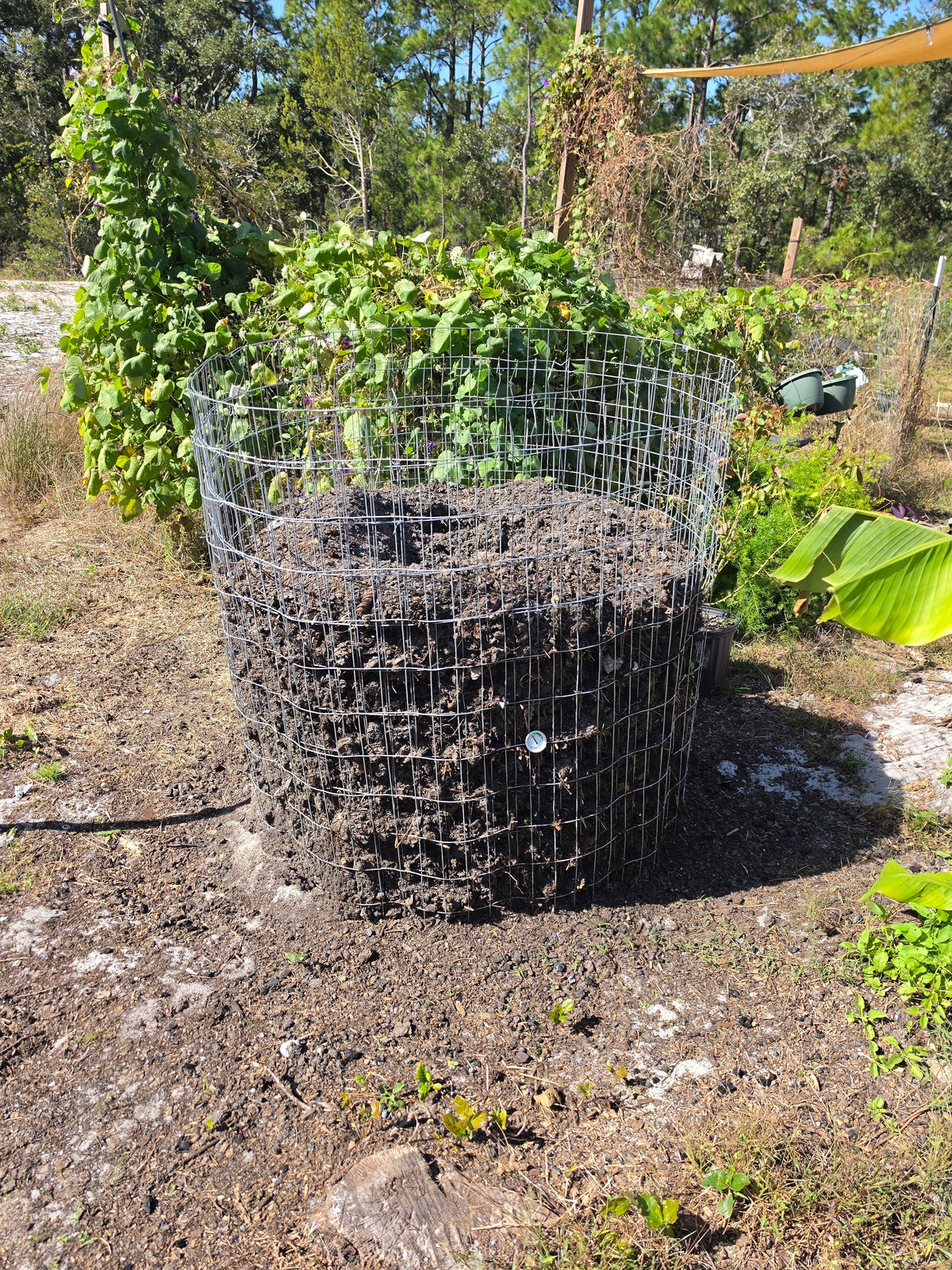 Finished compost