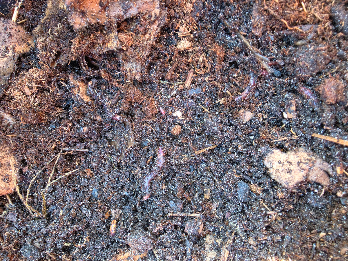 Finished compost