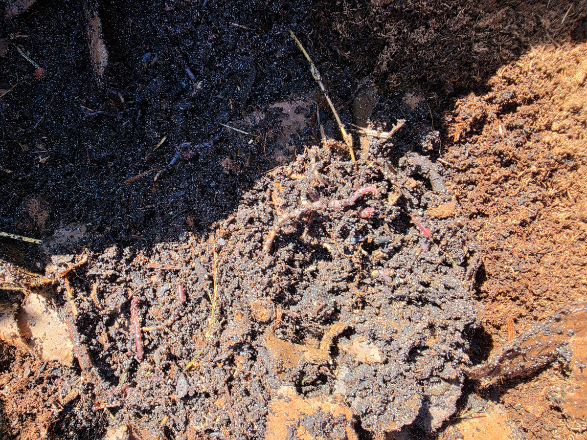 Finished compost