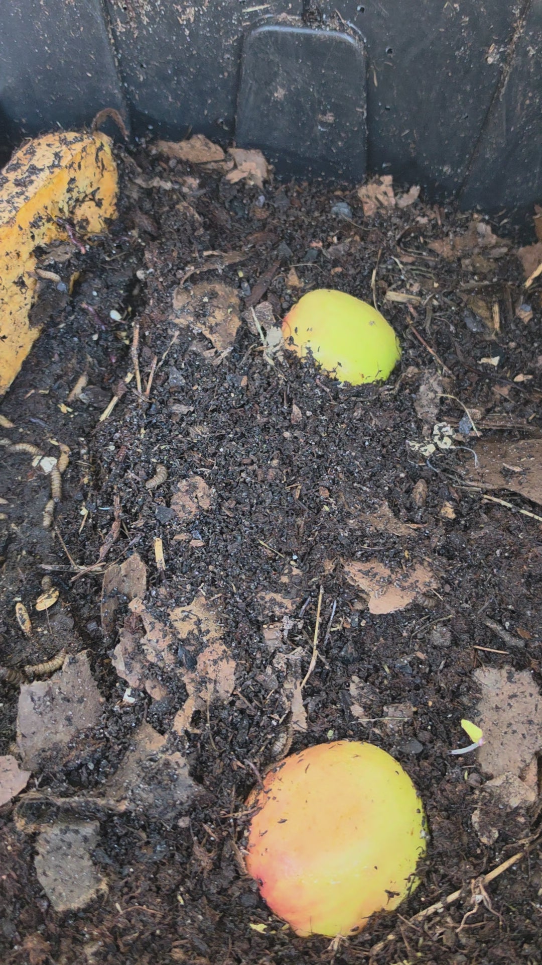 Finished compost
